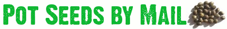 www.seedsbymail.biz www.seedsbymail.biz