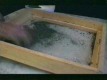 /archive/images/2548shows-hash2.jpg