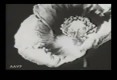 /archive/images/2668shows-secrets_of_.jpg