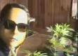 /archive/images/328-grow2.jpg