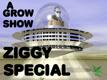 /archive/images/689-ziggyicon2.jpg