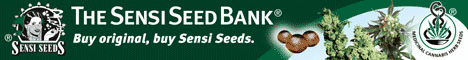Cannabis and Marihuana Seeds