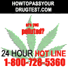 How to pass a drug test