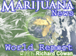 /archive/images/3715shows-mnwr.gif