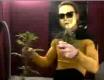 /archive/images/405-grow1.jpg
