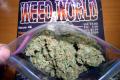 #1077 Grapeskunk