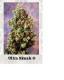 #888 Ultra Skunk