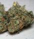 #893 California Special