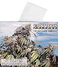 CC Rolling Papers