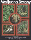 Marijuana Botany