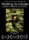 Waiting To Inhale (DVD)